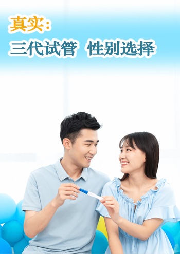 代孕机构合同