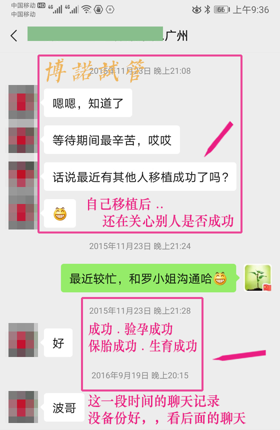 中国代孕中介.jpg
