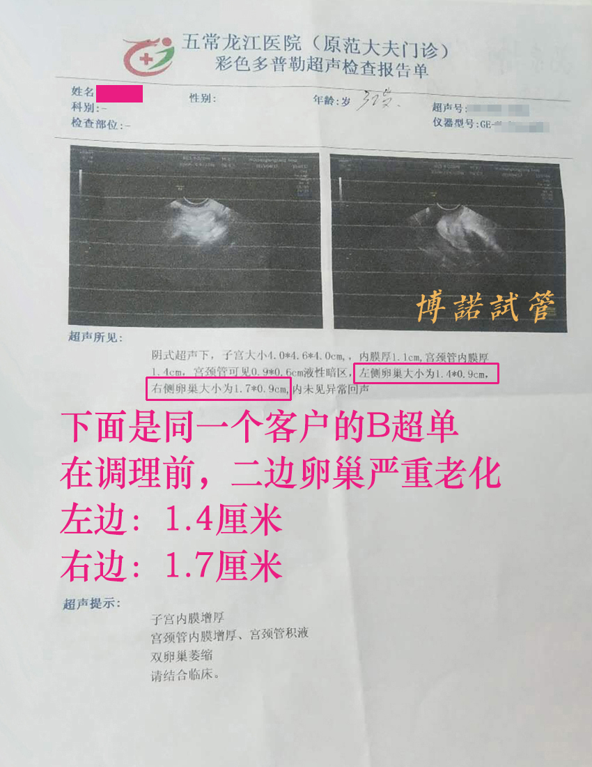 中国代孕医院.jpg