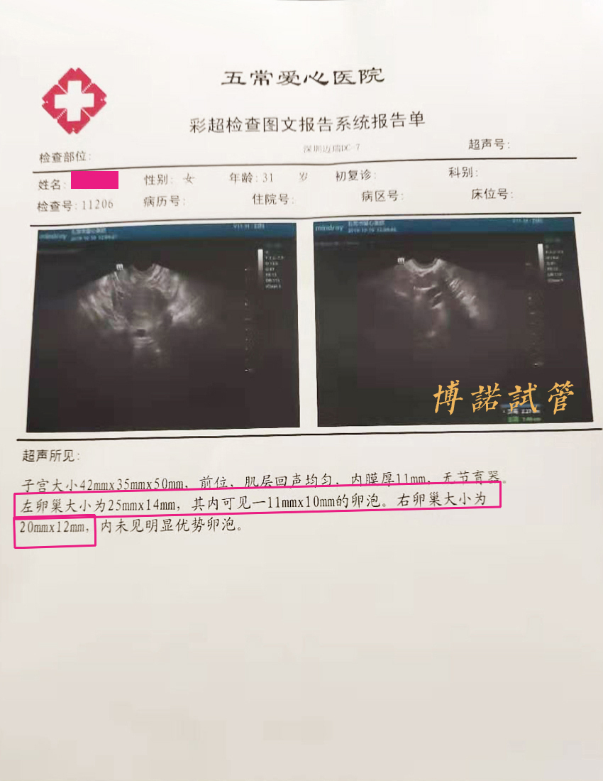 中国代孕妈妈.jpg