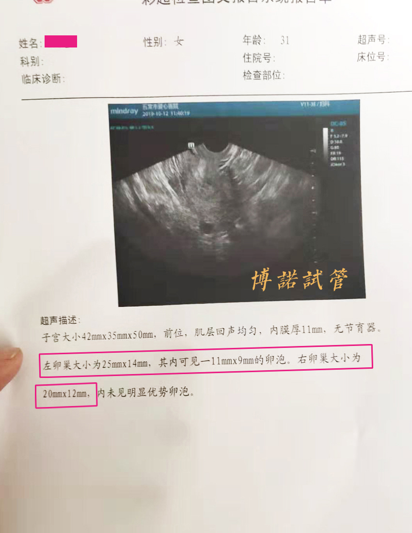 中国代孕中介.jpg