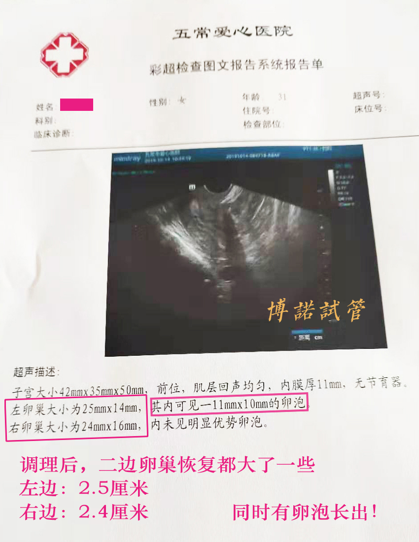 中国代孕招聘网.jpg