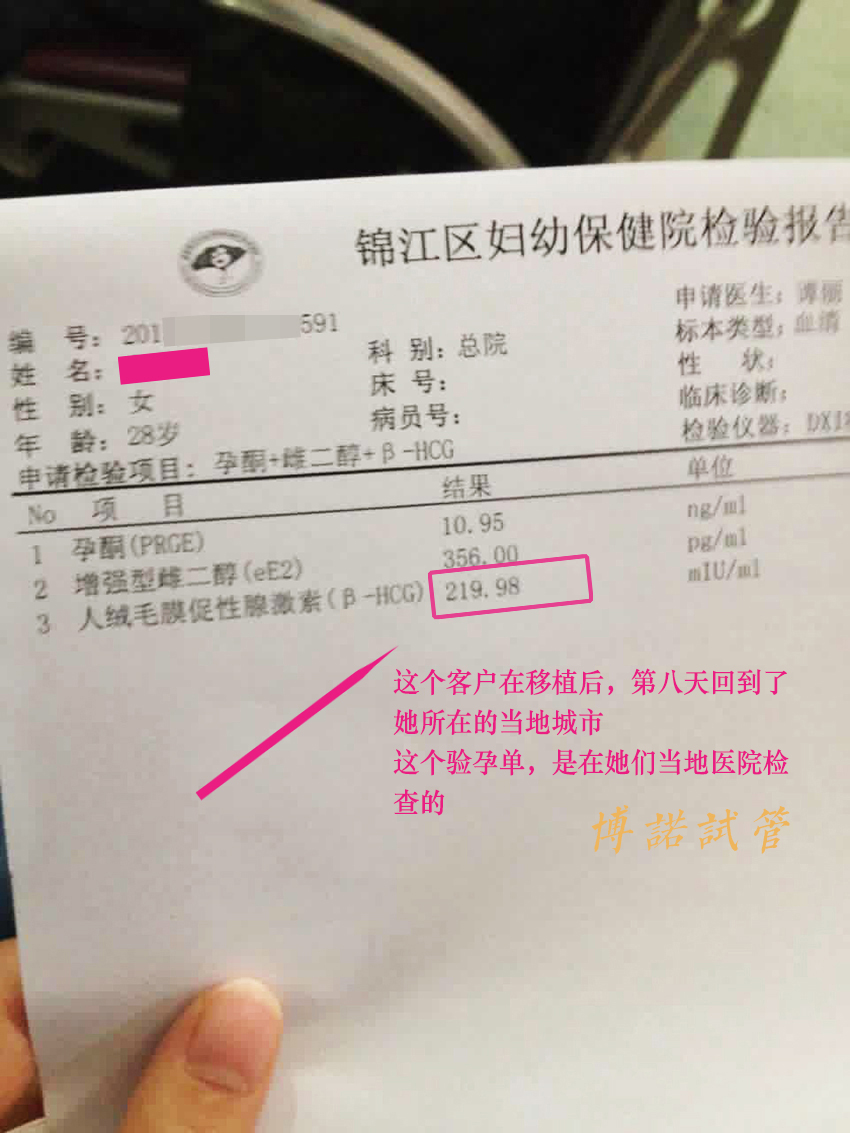 中国代孕试管婴儿.jpg